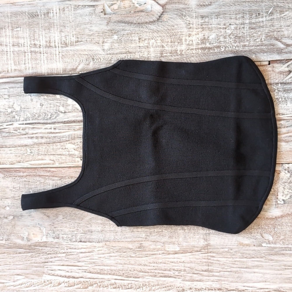 Babaton Aritzia Sculpt Knit Bustier Top